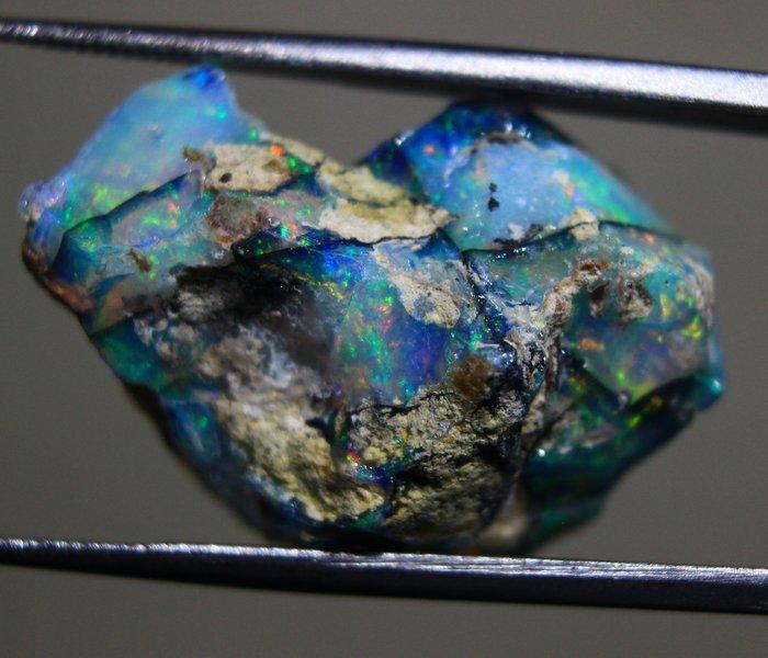 12,10 ct Topkwaliteit Ethiopische opaal uit de collectie -, Collections, Minéraux & Fossiles