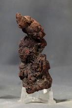 Fossiele dinosaurusexcrement - Gefossiliseerd dier -