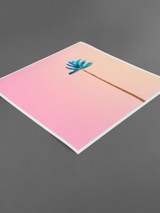 Téber - Mint Palm at Sunset, Antiek en Kunst, Kunst | Designobjecten