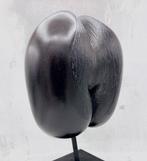 Coco de mer Taxidermie volledige montage - Lodoicea