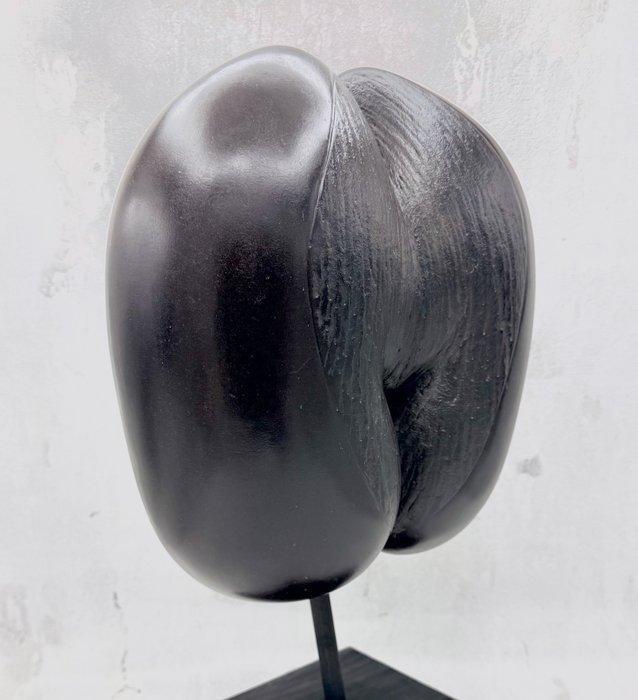 Coco de mer Taxidermie volledige montage - Lodoicea, Antiquités & Art, Curiosités & Brocante