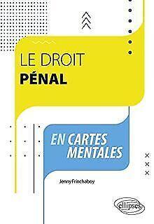 Le droit pénal en cartes mentales  Frinchaboy, J...  Book, Livres, Livres Autre, Envoi