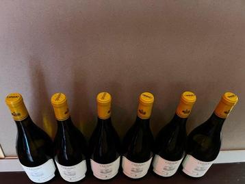 2023 Marchesi Antinori Cervaro della Sala - Ombrie - 6