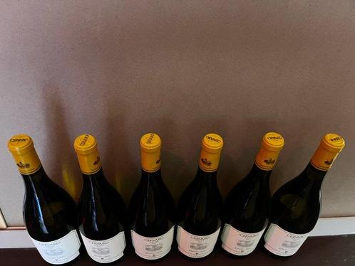 2023 Marchesi Antinori Cervaro della Sala - Ombrie - 6, Verzamelen, Wijnen