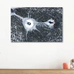 Werner Roelandt - Earths Calligraphy - 030