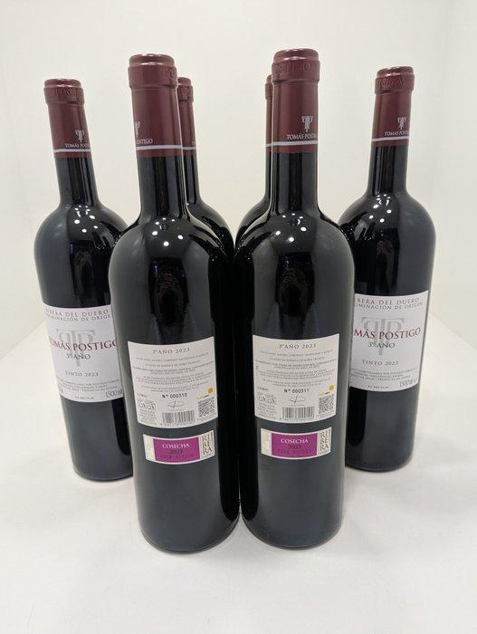 2023 Tomás Postigo 3º Año Tinto - Ribera del Duero - 6, Verzamelen, Wijnen
