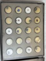 Collection thématique - Collection de minéraux et de