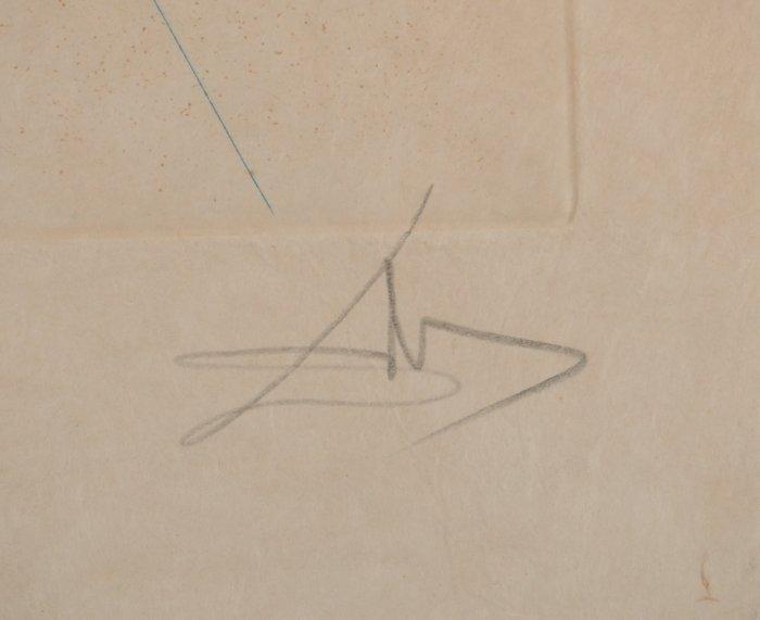 Salvador Dali (1904-1989) - Les amoureux : Baiser, Antiek en Kunst, Antiek | Overige Antiek