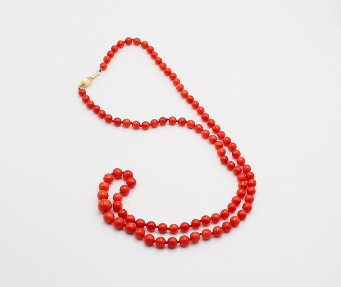 Halsketting - 18 karaat Geel goud Koraal, Handtassen en Accessoires, Kettingen