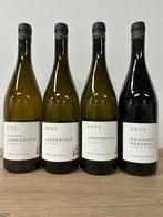 Theo & Vincent Dancer Jurassique, Pommard Pezerolles, Collections, Vins