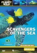 Scavengers of the sea op DVD, Verzenden