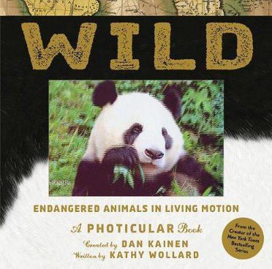 Wild 9781523501472 Dan Kainen, Boeken, Taal | Engels, Gelezen, Verzenden