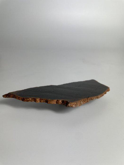 NWA 16900 - météorite achondrite primitive (Brachinite) -, Verzamelen, Mineralen en Fossielen