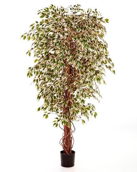 Kunstplant Ficus Hawaiian Mixed 210 cm, Huis en Inrichting, Kamerplanten, Verzenden