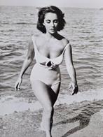 unknow - (4x photos) Elizabeth Taylor, The most popular, Nieuw
