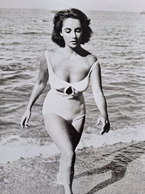 unknow - (4x photos) Elizabeth Taylor, The most popular, Verzamelen, Film en Tv