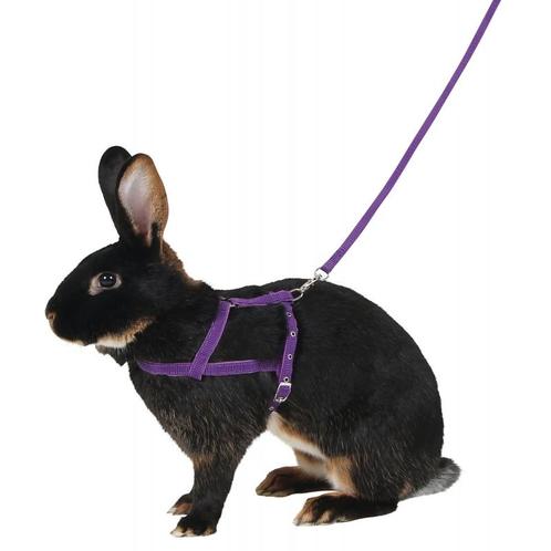 Harnais pour rongreur agility violet, m - kerbl, Dieren en Toebehoren, Knaagdieren en Konijnen | Toebehoren