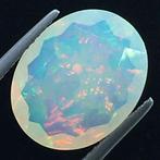 Sans Prix de Réserve Orange Opale - 5.04 ct - International, Nieuw