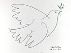 Pablo Picasso (1881-1973) - Dove of Peace - Friedenstaube,, Antiek en Kunst