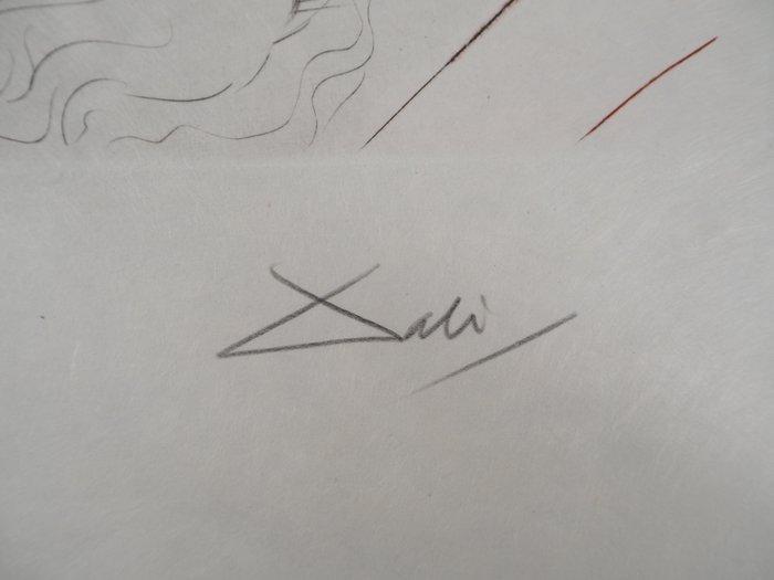 Salvador Dali (1904-1989) - Tristan amoureux (grandes, Antiquités & Art, Antiquités | Autres Antiquités