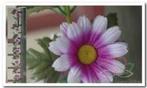 Gerbera Wit/Paars Zijdenbloemguirlande per stuk, Huis en Inrichting, Nieuw