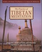 The Practice of Tibetan Meditation - Dagsay Tulku Rinpoche -, Livres, Ésotérisme & Spiritualité, Verzenden