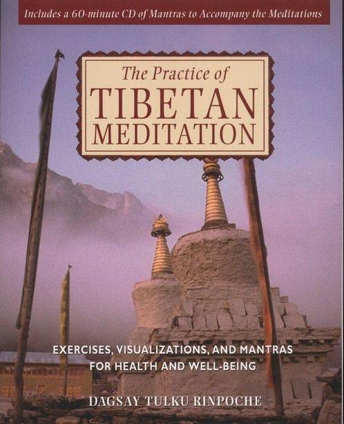 The Practice of Tibetan Meditation - Dagsay Tulku Rinpoche -, Livres, Ésotérisme & Spiritualité, Envoi