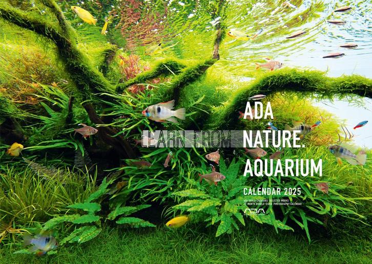 ADA Nature Aquarium kalender 2025, Dieren en Toebehoren, Vissen | Aquaria en Toebehoren, Nieuw, Verzenden