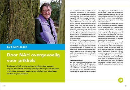 Een lepel in de soep 9789082702200 Hans van Dam, Boeken, Wetenschap, Gelezen, Verzenden