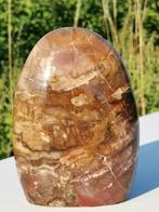 Fossiel hout - Gefossiliseerd hout - 14 cm - 10 cm