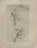Georges Braque (1882-1963) - Les Iris