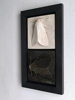 Federico Alibrio - Moths - Vertical and horizontal