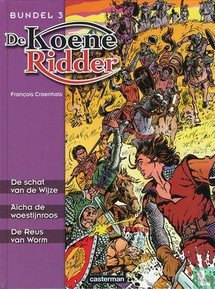 Koene Ridder, De - De schat van de wijze + Aïcha de woest.., Boeken, Stripverhalen, Zo goed als nieuw, Eén stripboek, Verzenden