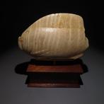 Oud-Egyptisch Albast Canopic jar, Cosmetisch vat in de vorm