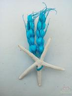 MaatwerkCorsage Zeester Aqua Gerst+magneet Maatwerk corsage, Hobby en Vrije tijd, Nieuw