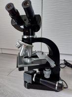 Binocular microscope - SM-D Lux - 1960-1970 - Duitsland -, Collections