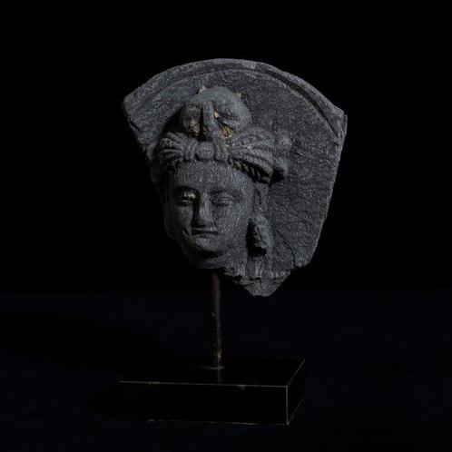 Gandhara Hoofd van Bodhisattva - Leisteen - 3e-5e eeuw na, Verzamelen, Mineralen en Fossielen