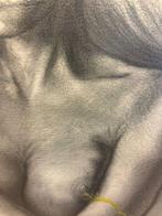 Davide Foppa (XX) - Senza titolo