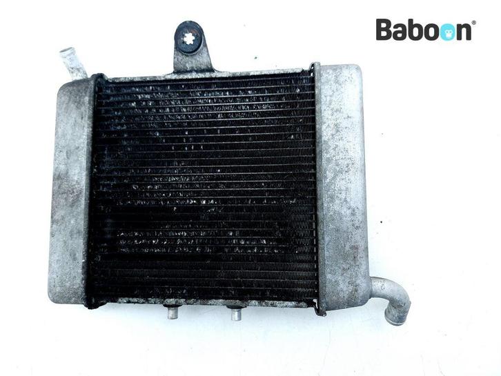 Radiateur Honda NSS 300 Forza 2013-2016 (NSS300), Motoren, Onderdelen | Honda, Verzenden