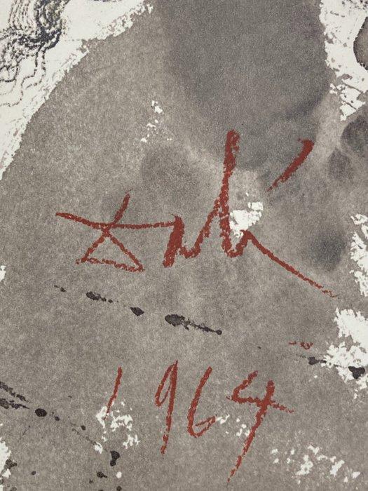 Salvador Dali (1904-1989) - Leo Quasi Bos Comedens Paleas, Antiek en Kunst, Antiek | Overige Antiek