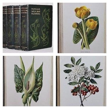 F. Edward Hulme - Familiar Wild Flowers (Complete 8 Series, Antiek en Kunst, Antiek | Boeken en Manuscripten