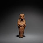 Oud-Egyptisch Terracotta Ushabti. Nieuwe Rijk, 19e - 20e, Collections