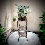 Plantentafel - Messing, Antiek en Kunst