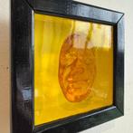 gregos - Optical illusion