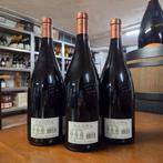 2023 Delas, Côtes-du-Rhône, Saint-Esprit - Rhône - 3 Magnums
