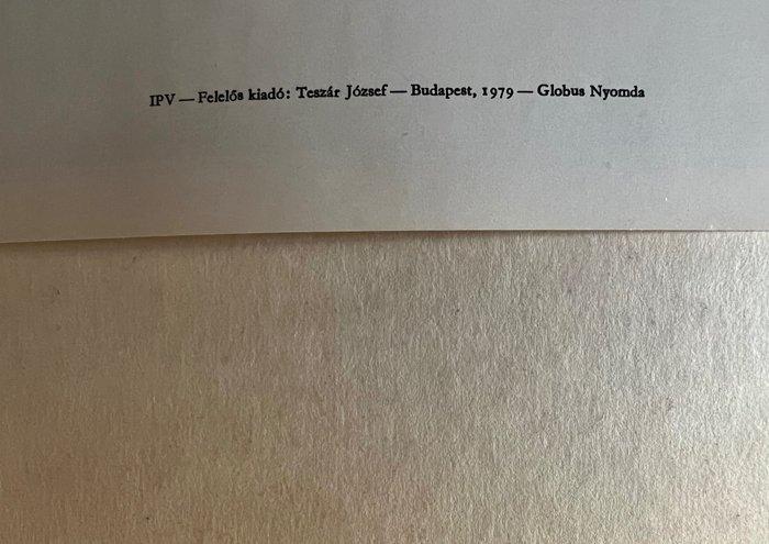 farago - CSILLAGHEGYI FORRÁSVIZ - Budapest - Hungary -, Antiek en Kunst, Antiek | Wandborden en Tegels