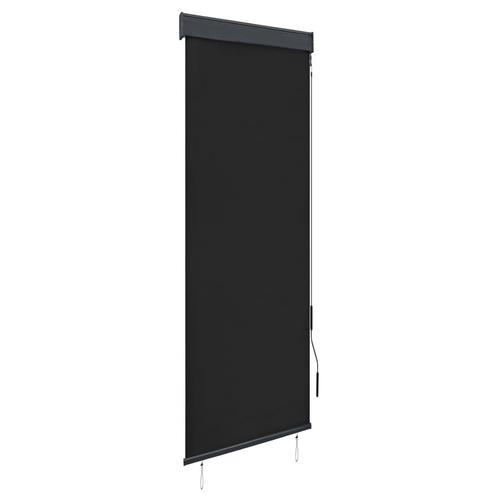 vidaXL Rolgordijn voor buiten 60x250 cm antraciet, Huis en Inrichting, Stoffering | Gordijnen en Lamellen, Nieuw, Verzenden