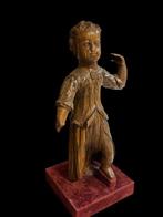 sculptuur, Vlaamse engel / 17e eeuw - 50 cm - Eik