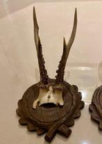 3 antieke hertenbokgeweien met houten schild Gewei -, Antiek en Kunst