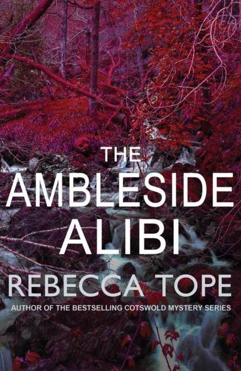 The Ambleside Alibi 9780749022600, Livres, Livres Autre, Envoi